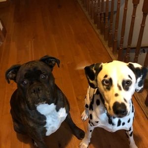 Meet your Posher, Loreanne